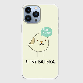 Чехол для iPhone 13 Pro Max с принтом Чык чырык в Санкт-Петербурге,  |  | belarus | chyk chyryk | daddy | lukashenka | mustache | print chyk chyryk | sparrow | sparrow chyk chyryk | sparrow with mustache | батька | беларусь | воробей | воробей с усами | воробей чык чырык | лукашенко | принт чык чырык | усы | чык ч