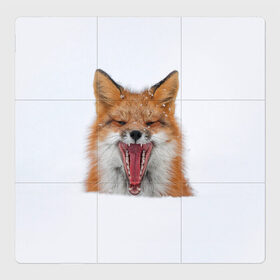 Магнитный плакат 3Х3 с принтом Снежная лиса в Санкт-Петербурге, Полимерный материал с магнитным слоем | 9 деталей размером 9*9 см | fox | foxy | животное | звери | лиса | лисенок | лисичка | милая | рыжая | фокс