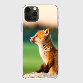 Чехол для iPhone 12 Pro с принтом Лиса в Санкт-Петербурге, силикон | область печати: задняя сторона чехла, без боковых панелей | fox | foxy | животное | звери | лиса | лисенок | лисичка | милая | рыжая | фокс