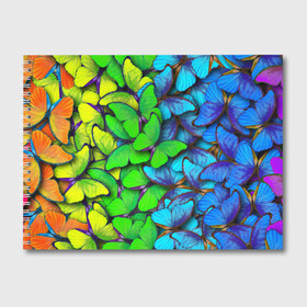 Альбом для рисования с принтом Радужные бабочки в Санкт-Петербурге, 100% бумага
 | матовая бумага, плотность 200 мг. | абстракция | бабочки | градиент | неон | природа | радуга | узор | фон | яркий узор