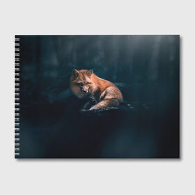 Альбом для рисования с принтом Мудрый лис в Санкт-Петербурге, 100% бумага
 | матовая бумага, плотность 200 мг. | fox | foxy | животное | звери | лиса | лисенок | лисичка | милая | рыжая | фокс