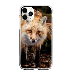 Чехол для iPhone 11 Pro Max матовый с принтом Лиса в Санкт-Петербурге, Силикон |  | Тематика изображения на принте: fox | foxy | животное | звери | лиса | лисенок | лисичка | милая | рыжая | фокс