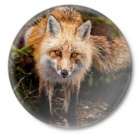 Значок с принтом Лиса в Санкт-Петербурге,  металл | круглая форма, металлическая застежка в виде булавки | fox | foxy | животное | звери | лиса | лисенок | лисичка | милая | рыжая | фокс