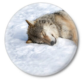 Значок с принтом Спящий Волк в Санкт-Петербурге,  металл | круглая форма, металлическая застежка в виде булавки | animals | wolf | волк | волки | животные | звери | зверь | одиночество | одиночка | пёс | собака | спящий волк
