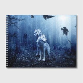 Альбом для рисования с принтом Волки в Санкт-Петербурге, 100% бумага
 | матовая бумага, плотность 200 мг. | animals | wolf | волк | волки | животные | звери | зверь | луна | одиночество | одиночка | пёс | собака