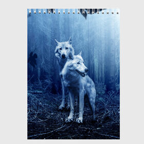 Скетчбук с принтом Волки в Санкт-Петербурге, 100% бумага
 | 48 листов, плотность листов — 100 г/м2, плотность картонной обложки — 250 г/м2. Листы скреплены сверху удобной пружинной спиралью | animals | wolf | волк | волки | животные | звери | зверь | луна | одиночество | одиночка | пёс | собака