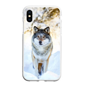 Чехол для iPhone XS Max матовый с принтом Я зимой в Санкт-Петербурге, Силикон | Область печати: задняя сторона чехла, без боковых панелей | animals | wolf | волк | волки | животные | звери | зверь | луна | одиночество | одиночка | пёс | собака