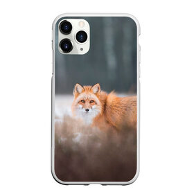 Чехол для iPhone 11 Pro Max матовый с принтом Лиса в Санкт-Петербурге, Силикон |  | Тематика изображения на принте: fox | foxy | животное | звери | лиса | лисенок | лисичка | милая | рыжая | фокс