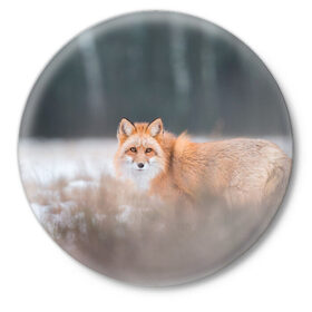 Значок с принтом Лиса в Санкт-Петербурге,  металл | круглая форма, металлическая застежка в виде булавки | Тематика изображения на принте: fox | foxy | животное | звери | лиса | лисенок | лисичка | милая | рыжая | фокс