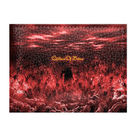 Обложка для студенческого билета с принтом Children of Bodom в Санкт-Петербурге, натуральная кожа | Размер: 11*8 см; Печать на всей внешней стороне | Тематика изображения на принте: cobhc | death | metal | дым | концерт | метал | рок | толпа