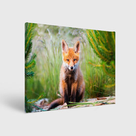 Холст прямоугольный с принтом Лисичка в Санкт-Петербурге, 100% ПВХ |  | fox | foxy | животное | звери | лиса | лисенок | лисичка | милая | рыжая | фокс