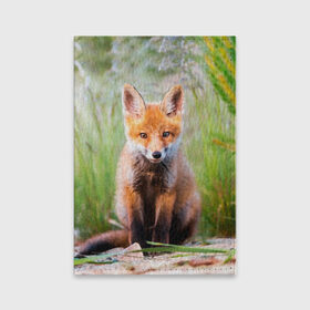Обложка для паспорта матовая кожа с принтом Лисичка в Санкт-Петербурге, натуральная матовая кожа | размер 19,3 х 13,7 см; прозрачные пластиковые крепления | Тематика изображения на принте: fox | foxy | животное | звери | лиса | лисенок | лисичка | милая | рыжая | фокс