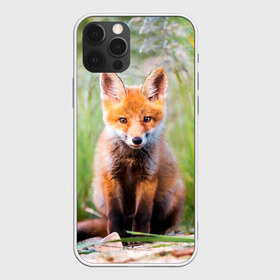 Чехол для iPhone 12 Pro Max с принтом Лисичка в Санкт-Петербурге, Силикон |  | fox | foxy | животное | звери | лиса | лисенок | лисичка | милая | рыжая | фокс