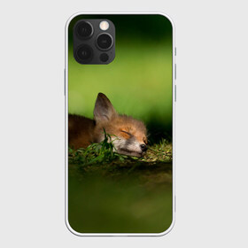 Чехол для iPhone 12 Pro Max с принтом Сонный лисенок в Санкт-Петербурге, Силикон |  | fox | foxy | животное | звери | лиса | лисенок | лисичка | милая | рыжая | фокс