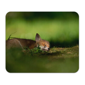 Коврик для мышки прямоугольный с принтом Сонный лисенок в Санкт-Петербурге, натуральный каучук | размер 230 х 185 мм; запечатка лицевой стороны | fox | foxy | животное | звери | лиса | лисенок | лисичка | милая | рыжая | фокс