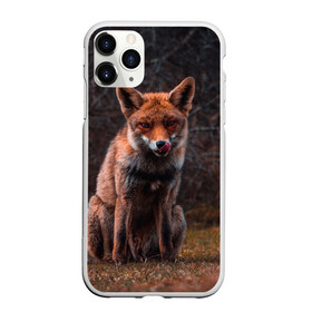 Чехол для iPhone 11 Pro матовый с принтом Хищная лисица в Санкт-Петербурге, Силикон |  | Тематика изображения на принте: fox | foxy | животное | звери | лиса | лисенок | лисичка | милая | рыжая | фокс
