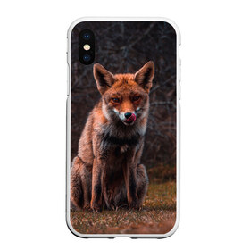 Чехол для iPhone XS Max матовый с принтом Хищная лисица в Санкт-Петербурге, Силикон | Область печати: задняя сторона чехла, без боковых панелей | Тематика изображения на принте: fox | foxy | животное | звери | лиса | лисенок | лисичка | милая | рыжая | фокс
