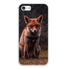 Чехол для iPhone 5/5S матовый с принтом Хищная лисица в Санкт-Петербурге, Силикон | Область печати: задняя сторона чехла, без боковых панелей | Тематика изображения на принте: fox | foxy | животное | звери | лиса | лисенок | лисичка | милая | рыжая | фокс