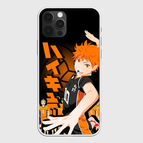 Чехол для iPhone 12 Pro Max с принтом ВОЛЕЙБОЛ!! / HAIKYUU!! в Санкт-Петербурге, Силикон |  | anime | haikyu | haikyuu | karasuno | аниме | волейбол | ворон | карасуно | манга | мяч | сёё хината