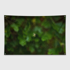 Флаг-баннер с принтом Паучок в Санкт-Петербурге, 100% полиэстер | размер 67 х 109 см, плотность ткани — 95 г/м2; по краям флага есть четыре люверса для крепления | spider | web | зелень | лес | макро | паук | паутина | природа