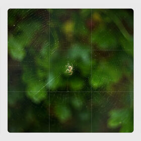 Магнитный плакат 3Х3 с принтом Паучок в Санкт-Петербурге, Полимерный материал с магнитным слоем | 9 деталей размером 9*9 см | spider | web | зелень | лес | макро | паук | паутина | природа