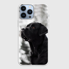 Чехол для iPhone 13 Pro Max с принтом Лабрадор Марк в Санкт-Петербурге,  |  | Тематика изображения на принте: dog | winter | животные | зима | лабрадор | лабрадор ретривер | снег | собака