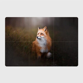 Магнитный плакат 3Х2 с принтом Лиса-охотница в Санкт-Петербурге, Полимерный материал с магнитным слоем | 6 деталей размером 9*9 см | Тематика изображения на принте: fox | foxy | животное | звери | лиса | лисенок | лисичка | милая | рыжая | фокс