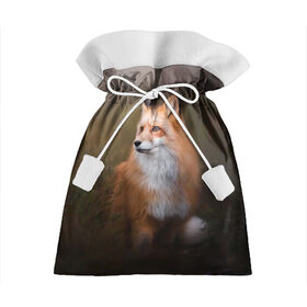 Подарочный 3D мешок с принтом Лиса-охотница в Санкт-Петербурге, 100% полиэстер | Размер: 29*39 см | Тематика изображения на принте: fox | foxy | животное | звери | лиса | лисенок | лисичка | милая | рыжая | фокс