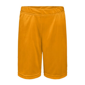 Детские спортивные шорты 3D с принтом Цвет Шафран (без рисунка) в Санкт-Петербурге,  100% полиэстер
 | пояс оформлен широкой мягкой резинкой, ткань тянется
 | Тематика изображения на принте: без рисунка | горчичный | желто оранжевый тон | желтый | модные цвета 2020 | оранжевый | рыжий | сочный цвет | цвет 2020 | шафран | яркие цвета
