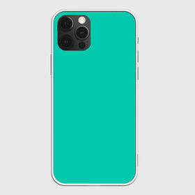 Чехол для iPhone 12 Pro Max с принтом Бискайский зеленый без рисунка в Санкт-Петербурге, Силикон |  | 2020 года | biscay | biscay green | panton vesna | pantone | бирюзовый | бискайский залив | бискайский зеленый | весна лето | зеленый | модные цвета | цвет 2020 года