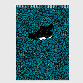 Скетчбук с принтом Чёрная киса в Санкт-Петербурге, 100% бумага
 | 48 листов, плотность листов — 100 г/м2, плотность картонной обложки — 250 г/м2. Листы скреплены сверху удобной пружинной спиралью | Тематика изображения на принте: домашние животные | звери | киса | кисуля | кот | коты | кошка | кошки | синяя | цветочки | цветы | черный кот