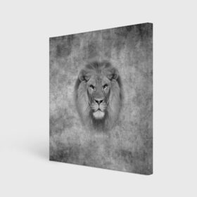 Холст квадратный с принтом Лев в Санкт-Петербурге, 100% ПВХ |  | big cat | lion | зверь | кошка | лев | львенок | львица | хищник | царь зверей