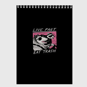Скетчбук с принтом Live fast Eat trash в Санкт-Петербурге, 100% бумага
 | 48 листов, плотность листов — 100 г/м2, плотность картонной обложки — 250 г/м2. Листы скреплены сверху удобной пружинной спиралью | eat | fast | live | snap | snap collection | trash | быстро | еда | енот | жизнь | мода | мусор | опоссум | очки