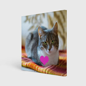 Холст квадратный с принтом действительно любит меня в Санкт-Петербурге, 100% ПВХ |  | взгляд | кот | кошатникам | любит меня | люблю его | люблю котов | одиночкам | плед | романтика | сердечко | сердце | уют