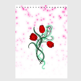 Скетчбук с принтом Весенний вальс в Санкт-Петербурге, 100% бумага
 | 48 листов, плотность листов — 100 г/м2, плотность картонной обложки — 250 г/м2. Листы скреплены сверху удобной пружинной спиралью | 8 марта | love | tulips | алые | бабушка | букет | бутоны | весна | девушке | дочь | жена | женщинам | красные цветы | лепестки | лето | листья | лучшая | любимая | любовь | мама | подарок | природа