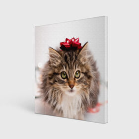 Холст квадратный с принтом я лучший подарочек в Санкт-Петербурге, 100% ПВХ |  | бантик | взгляд | глаза | животные | звери | зверь | киса | кисонька | кот | котейка | котик | коты | котэ | кошки | лапы | нос | подарок | подарочек | сюрприз | усы | уши | шерсть