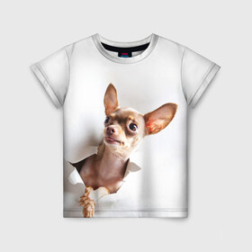 Детская футболка 3D с принтом Чихуахуа из бумаги вылазит в Санкт-Петербурге, 100% гипоаллергенный полиэфир | прямой крой, круглый вырез горловины, длина до линии бедер, чуть спущенное плечо, ткань немного тянется | гав | любитель собак | меленьктй пес | мини пес | песель | песик | собака | собачка | собачник | собачница | чихуахуа | чихуашка | щенек