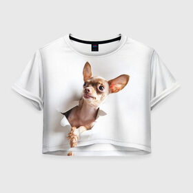 Женская футболка Crop-top 3D с принтом Чихуахуа из бумаги вылазит в Санкт-Петербурге, 100% полиэстер | круглая горловина, длина футболки до линии талии, рукава с отворотами | гав | любитель собак | меленьктй пес | мини пес | песель | песик | собака | собачка | собачник | собачница | чихуахуа | чихуашка | щенек