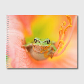 Альбом для рисования с принтом лягушка в цветке мило в Санкт-Петербурге, 100% бумага
 | матовая бумага, плотность 200 мг. | жаба | жабка | земноводное | ква | квакуха | лягушенок | лягушка | макро | мило | природа | пыльца | цветок
