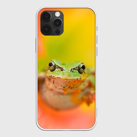 Чехол для iPhone 12 Pro Max с принтом лягушка в цветке мило в Санкт-Петербурге, Силикон |  | жаба | жабка | земноводное | ква | квакуха | лягушенок | лягушка | макро | мило | природа | пыльца | цветок