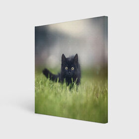 Холст квадратный с принтом черный кот на лугу в Санкт-Петербурге, 100% ПВХ |  | взгляд | внутренний | глаза | животные | звери | зверь | кот | котейка | котик | коты | котэ | кошки | лапы | нос | образ | прыжок | смотрит в душу | усы | уши | черный | черныш | шерсть