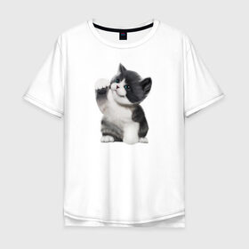 Мужская футболка хлопок Oversize с принтом Котёнок в Санкт-Петербурге, 100% хлопок | свободный крой, круглый ворот, “спинка” длиннее передней части | animals | beast | eyes | sweet | глаза | животные | забавный | звери | зубы | кот | котенок | кошка | милый | прикол | пушистый | смешной | черный