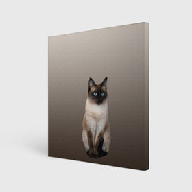 Холст квадратный с принтом Сиамский кот голубые глаза в Санкт-Петербурге, 100% ПВХ |  | арт | бежевый | градиент | киса | коричневый | кот | котейка | котенок | котик | котэ | кошка | реализм | сиамец | сиамский