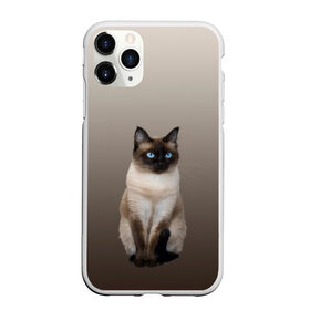 Чехол для iPhone 11 Pro матовый с принтом Сиамский кот голубые глаза в Санкт-Петербурге, Силикон |  | арт | бежевый | градиент | киса | коричневый | кот | котейка | котенок | котик | котэ | кошка | реализм | сиамец | сиамский