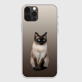 Чехол для iPhone 12 Pro Max с принтом Сиамский кот голубые глаза в Санкт-Петербурге, Силикон |  | арт | бежевый | градиент | киса | коричневый | кот | котейка | котенок | котик | котэ | кошка | реализм | сиамец | сиамский