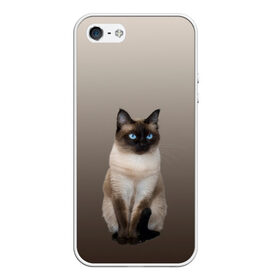 Чехол для iPhone 5/5S матовый с принтом Сиамский кот голубые глаза в Санкт-Петербурге, Силикон | Область печати: задняя сторона чехла, без боковых панелей | арт | бежевый | градиент | киса | коричневый | кот | котейка | котенок | котик | котэ | кошка | реализм | сиамец | сиамский