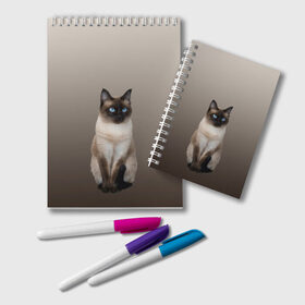 Блокнот с принтом Сиамский кот голубые глаза в Санкт-Петербурге, 100% бумага | 48 листов, плотность листов — 60 г/м2, плотность картонной обложки — 250 г/м2. Листы скреплены удобной пружинной спиралью. Цвет линий — светло-серый
 | арт | бежевый | градиент | киса | коричневый | кот | котейка | котенок | котик | котэ | кошка | реализм | сиамец | сиамский