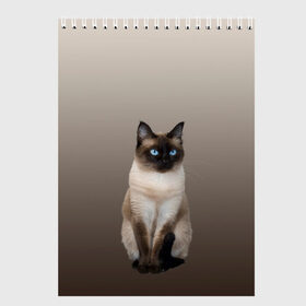 Скетчбук с принтом Сиамский кот голубые глаза в Санкт-Петербурге, 100% бумага
 | 48 листов, плотность листов — 100 г/м2, плотность картонной обложки — 250 г/м2. Листы скреплены сверху удобной пружинной спиралью | арт | бежевый | градиент | киса | коричневый | кот | котейка | котенок | котик | котэ | кошка | реализм | сиамец | сиамский