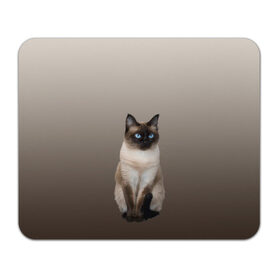 Коврик для мышки прямоугольный с принтом Сиамский кот голубые глаза в Санкт-Петербурге, натуральный каучук | размер 230 х 185 мм; запечатка лицевой стороны | Тематика изображения на принте: арт | бежевый | градиент | киса | коричневый | кот | котейка | котенок | котик | котэ | кошка | реализм | сиамец | сиамский