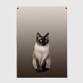 Постер с принтом Сиамский кот голубые глаза в Санкт-Петербурге, 100% бумага
 | бумага, плотность 150 мг. Матовая, но за счет высокого коэффициента гладкости имеет небольшой блеск и дает на свету блики, но в отличии от глянцевой бумаги не покрыта лаком | арт | бежевый | градиент | киса | коричневый | кот | котейка | котенок | котик | котэ | кошка | реализм | сиамец | сиамский